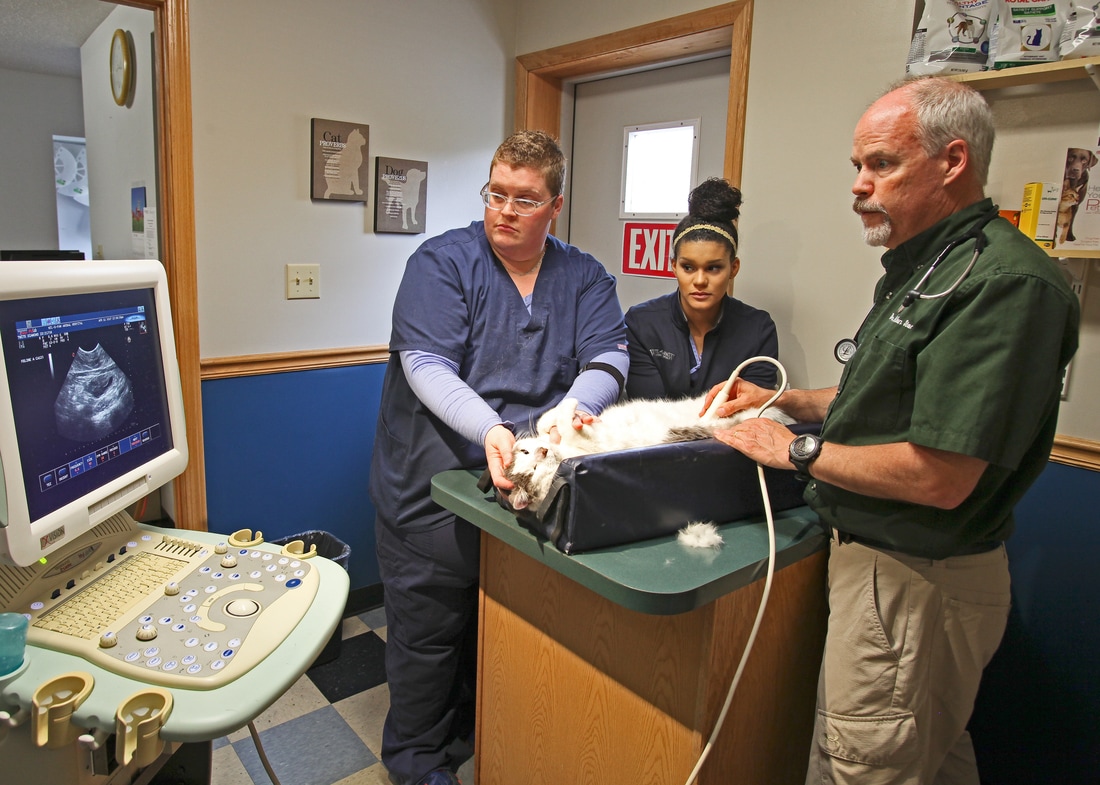 Ultrasound