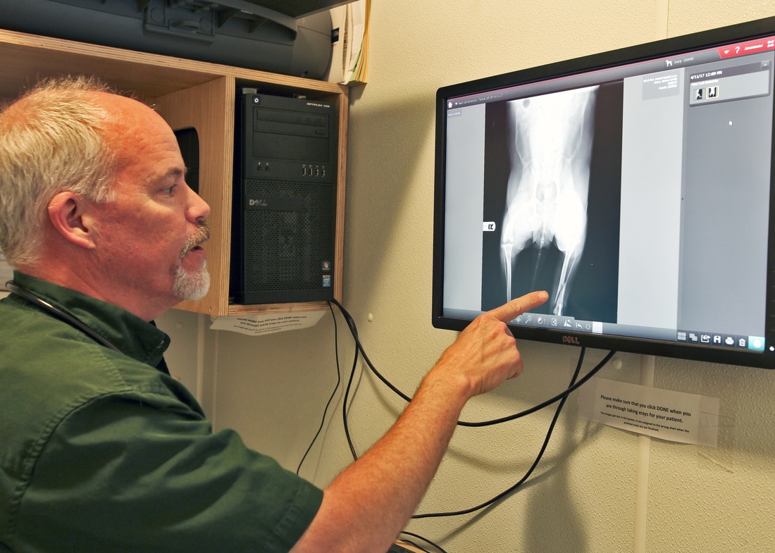 X-Ray Lab