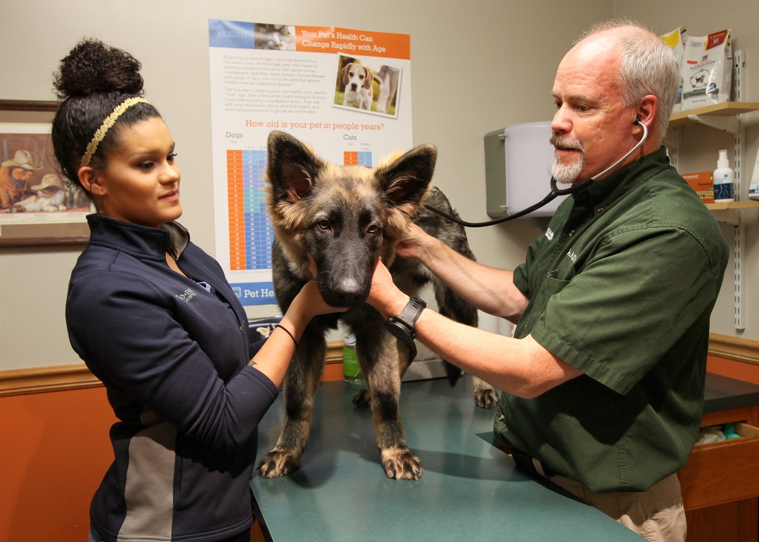Staff with Patient